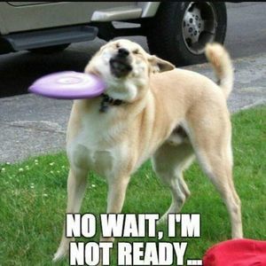 Meet your Posher, Eli